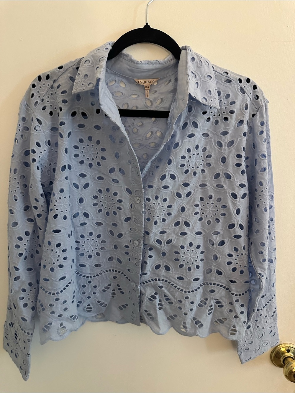 Light blue eyelet cropped button down blouse